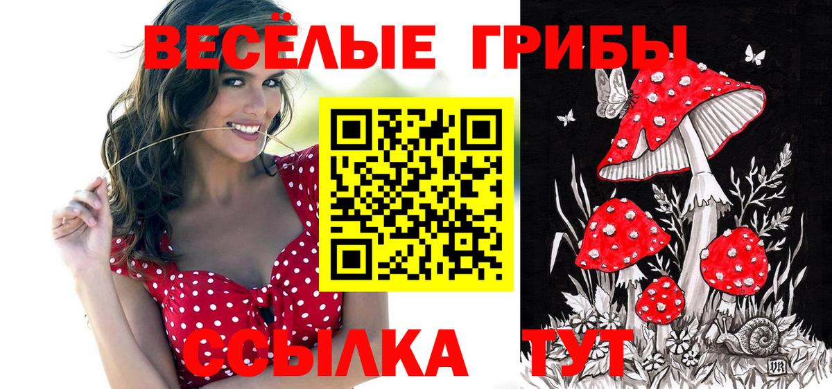 Псилоцибиновые грибы GOLDEN TEACHER Нижний Тагил