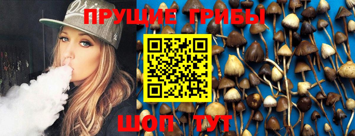 Галлюциногенные грибы Cubensis  Вход с VPN  Нижний Тагил 